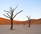 14 Night Splendid Desert of Namibia Package