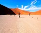 14 Night Splendid Desert of Namibia Package