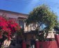 Theresa’s Kalk Bay