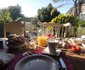 Camu-Camu Bed and Breakfast