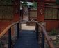 Wild Fig Retreat