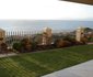Whale Cove AG03