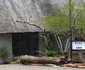 Woodlands Bush Lodge