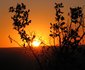 Bushbuck Hills Eco Farm