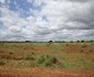 Bushbuck Hills Eco Farm