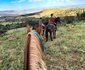 Lydenrust Guest Farm & Horse Trails