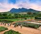 Ultimate Franschhoek Foodie and Wine Tour