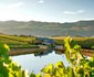 Hemel-en-Aarde Valley Fine Wine Tour