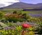 Hemel-en-Aarde Valley Fine Wine Tour