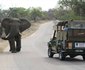 4 Night Kruger Park Safari and Activities Tour