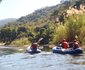 4 Night Kruger Park Safari and Activities Tour