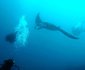 4 Night Mozambique Tropical Tour
