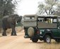 6 Night Kruger Park, Mozambique and Limpopo Park Adventure