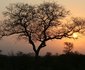 5 Day Kruger Experience Lodge-Treehouse