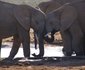 5 Day Kruger Experience Lodge-Tent