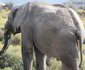 4 Day Kruger Experience Lodge-Tent