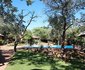 3 Day Kruger Experience Lodge-Treehouse