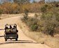 3 Day Kruger Experience Lodge-Tent