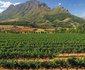 10 Night, 10 Day CPT Garden Route Combo