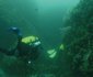 5 Night, 6 Day PADI Diving Course Package