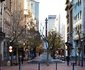 4 Night City Photo Tour 