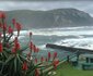 2 Nights at Storms River Mouth Rest Camp Garden Route National Park SANParks