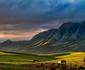 5 Night Yoga and Wellness Retreat