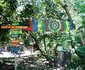 Shapes of Africa Rustic Stayover eco-backpackers lodge