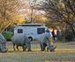 SANParks Bontle Rest Camp Marakele National Park