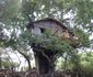 3 Night, 4 Day Marc's Treehouse Kruger Safari