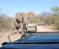 3 Night, 4 Day Katekani Kruger Safari