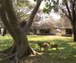 2 Night Safari Package at Letaba Rest Camp Kruger National Park SANParks