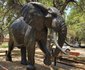 2 Night Safari Package at Letaba Rest Camp Kruger National Park SANParks