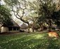 2 Night Safari Package at Letaba Rest Camp Kruger National Park SANParks