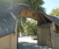 Luxury Wild Inn