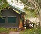 2 Night Safari Package at Tamboti Tented Camp Kruger National Park SANParks