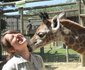 8 Night Best Of Kruger Package