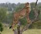 8 Night Best Of Kruger Package
