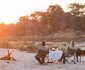8 Night Best Of Kruger Package