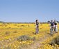 2 Night Nurture in Nature Package