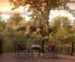 2 Night Hoyo Hoyo Safari Package