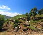 2 Nights at Basotho Cultural Village Golden Gate Highlands National Park SANParks