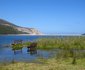 2 Nights at Nature's Valley Rest Camp Garden Route National Park SANParks