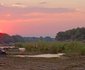 4 Nights, 2 Luxury Lodges in Balule Nature Reserve