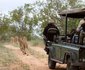 4 Nights, 2 Luxury Lodges in Balule Nature Reserve