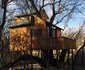 Willow Nest Treehouse Riversands