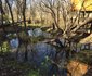 Willow Nest Treehouse Riversands