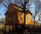 Willow Nest Treehouse Riversands
