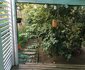 The Garden Cottage