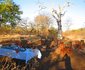 Buffalo Tented Camp